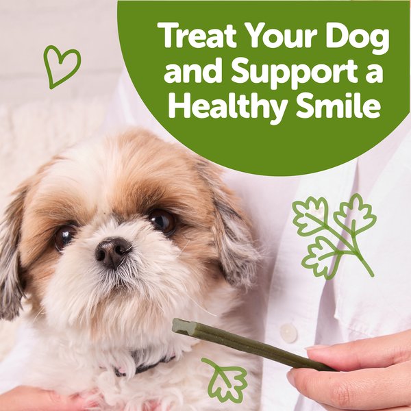 Show full view: WHIMZEES by Wellness Freshzees Fresh Breath Small Breed Natural Dental Dog Treats, 28 Count slide 6 of 10