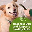 Show in main carousel: WHIMZEES by Wellness Freshzees Fresh Breath Medium Breed Natural Dental Dog Treats, 14 Count slide 6 of 10