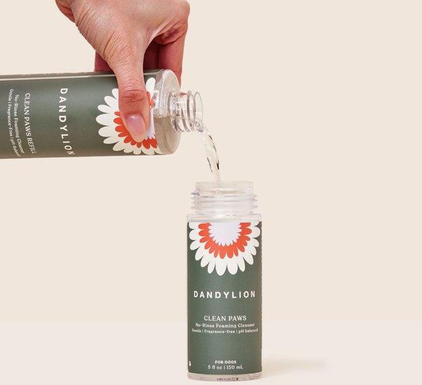 Show full view: Dandylion Clean Paws No-Rinse Foaming Dog Cleanser Refill, 10-fl oz bottle slide 4 of 5