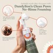 Show in main carousel: Dandylion Clean Paws Dog Foaming Cleanser, 5-fl oz bottle slide 4 of 9