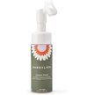 Show in main carousel: Dandylion Clean Paws Dog Foaming Cleanser, 5-fl oz bottle slide 1 of 9