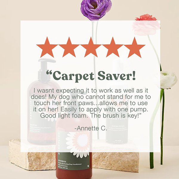 Show full view: Dandylion Clean Paws Dog Foaming Cleanser, 5-fl oz bottle slide 7 of 9