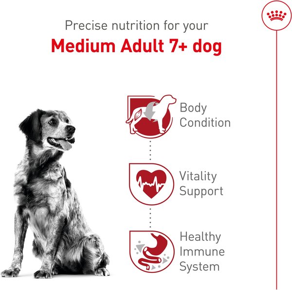 Show full view: Royal Canin Size Health Nutrition Medium Adult 7+ Dry Dog Food, 13.61-kg bag slide 3 of 7