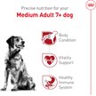 Show in main carousel: Royal Canin Size Health Nutrition Medium Adult 7+ Dry Dog Food, 13.61-kg bag slide 3 of 7