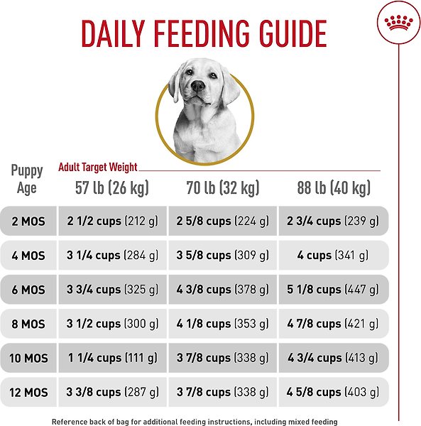 Show full view: Royal Canin Breed Health Nutrition Labrador Retriever Puppy Dry Dog Food, 13.62-kg bag slide 9 of 17