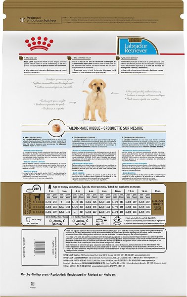 Show full view: Royal Canin Breed Health Nutrition Labrador Retriever Puppy Dry Dog Food, 13.62-kg bag slide 14 of 17
