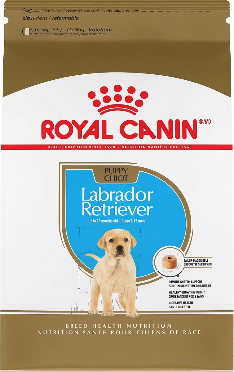 ドッグフード  CANIN Labrador Retriever 13kgx2 Amazon.com: Royal Canin Breed Health Nutrition Labrador