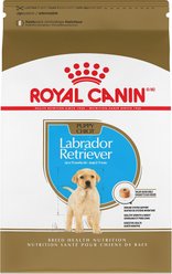 Royal Canin Breed Health Nutrition Labrador Retriever Puppy Dry Dog Food, 13.62-kg bag