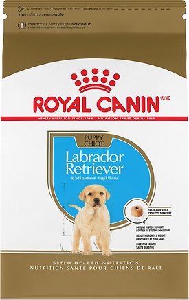 ROYAL CANIN Breed Health Nutrition Labrador Retriever Adult Dry