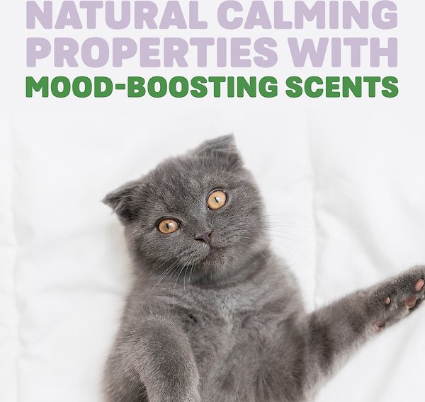 Show full view: Naturally Fresh Harmony Lavendar & Bamboo Scented Clumping Cat Litter, 11.8-kg bag slide 4 of 8