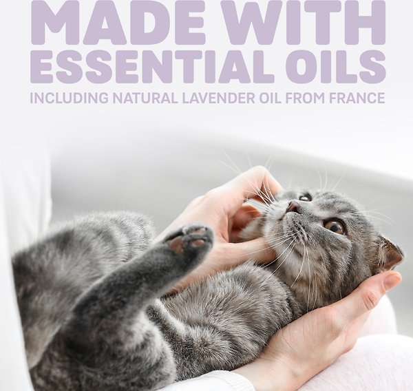 Show full view: Naturally Fresh Harmony Lavendar & Bamboo Scented Clumping Cat Litter, 11.8-kg bag slide 5 of 8