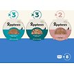 Show in main carousel: Applaws Fish Gravy Selection Multipack Limited Ingredient Cat Food Pots, 2.12-oz pot, case of 8 slide 7 of 8