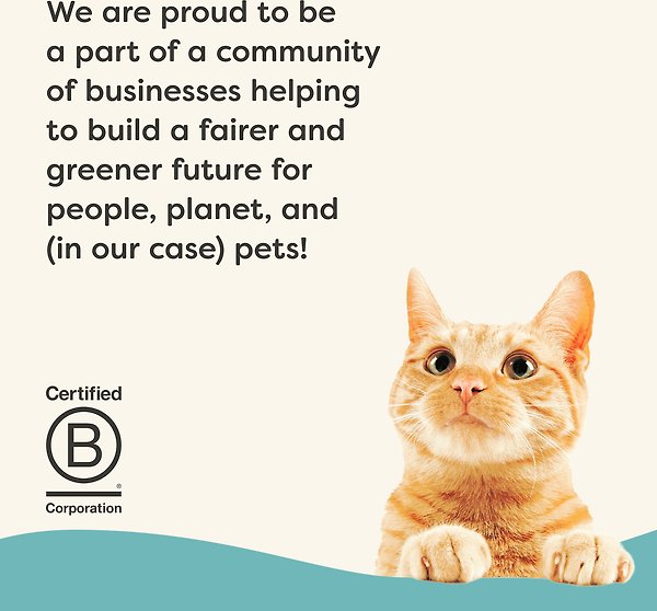 Show full view: Applaws Vitality Tuna Fillet & Mackerel Recipe Pate Grain-Free Wet Cat Food, 2.47-oz can, case of 24 slide 6 of 9