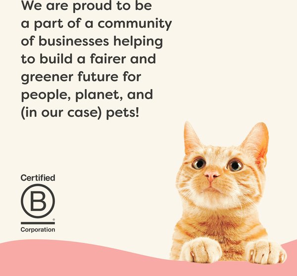 Show full view: Applaws Vitality Tuna Fillet & Salmon Recipe Pate Grain-Free Wet Cat Food, 5.5-oz can, case of 24 slide 6 of 9