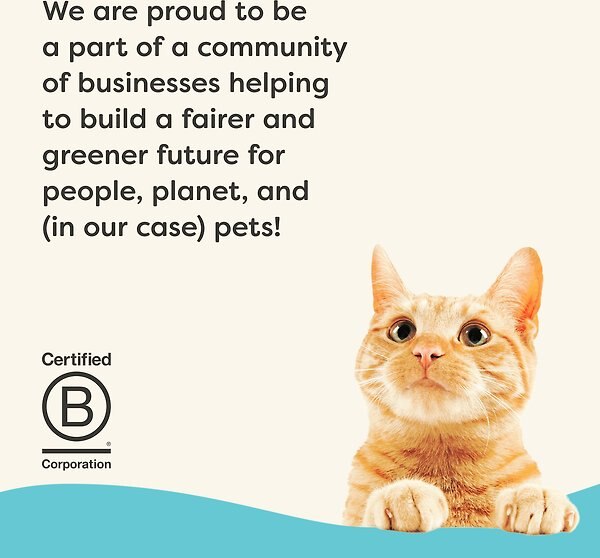 Show full view: Applaws Vitality Tuna Fillet Recipe Pate Grain-Free Wet Cat Food, 5.5-oz can, case of 24 slide 6 of 9