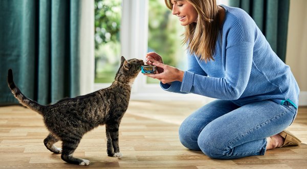 Show full view: Reveal Natural Chicken in Broth Variety Pack Grain-Free Wet Cat Food, 2.47-oz can, case of 8 slide 8 of 10