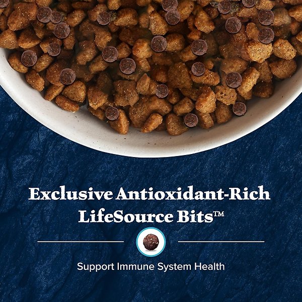 Show full view: Blue Buffalo Wilderness Puppy High-Protein Salmon Recipe Dry Dog Food, 10.88-kg bag slide 6 of 10