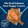 Show in main carousel: Blue Buffalo Wilderness Puppy High-Protein Salmon Recipe Dry Dog Food, 10.88-kg bag slide 3 of 10