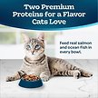 Show in main carousel: Blue Buffalo Tastefuls Adult Multi-Protein Salmon & Ocean Fish Recipe Dry Cat Food, 3.17-kg bag slide 3 of 6