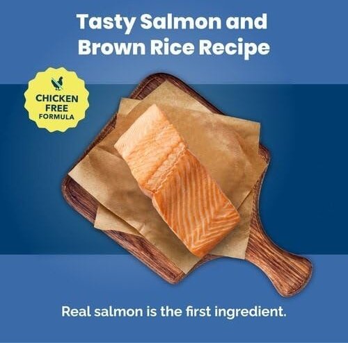 Show full view: Blue Buffalo Life Protection Formula Adult Salmon Recipe Dry Dog Food, 11.8-kg bag slide 4 of 8