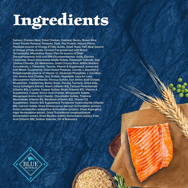 Show full view: Blue Buffalo Wilderness Senior Salmon Recipe Dry Dog Food, 10.88-kg bag slide 5 of 10