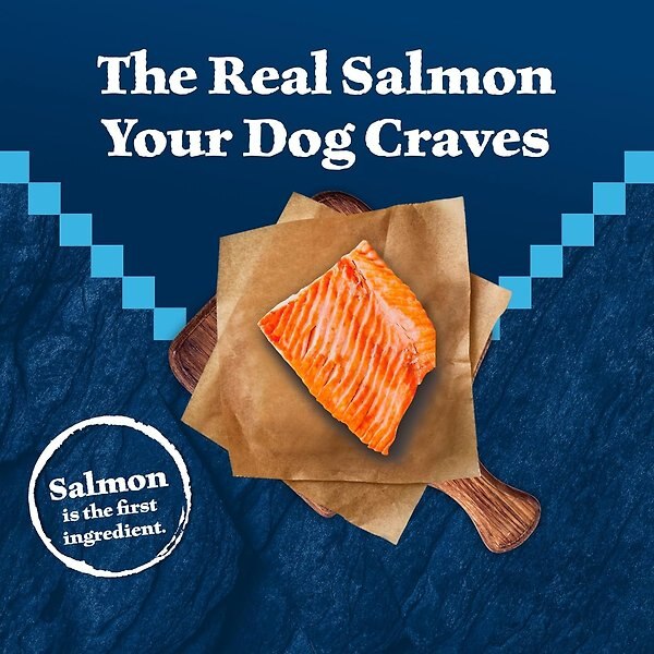 Show full view: Blue Buffalo Wilderness Senior Salmon Recipe Dry Dog Food, 10.88-kg bag slide 4 of 10