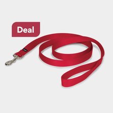 Dog Collars & Leashes Deals