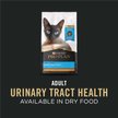 Show in main carousel: Purina Pro Plan Urinary Tract Health with Salmon Wet Cat Food, 156-g can, case of 24 slide 6 of 9