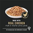 Show in main carousel: Purina Pro Plan Indoor Balance Chicken Entree Wet Cat Food, 85-g can, case of 24 slide 7 of 9