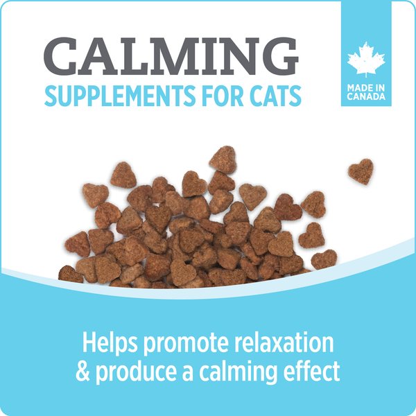 Show full view: Nutrience Care Calming Cat Supplement, 180-g slide 4 of 7