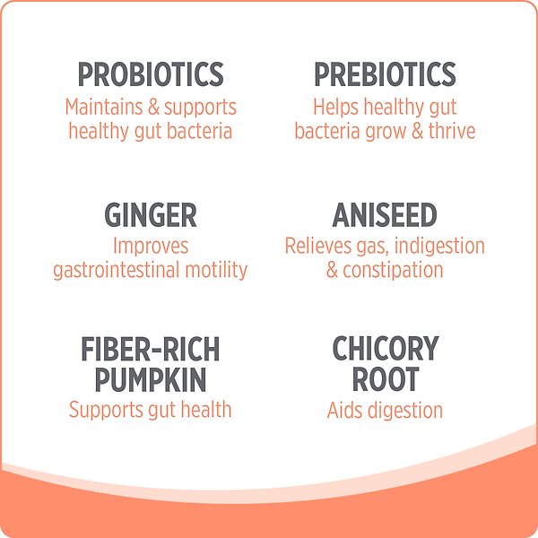 Show full view: Nutrience Care Probiotic+ Cat Supplement, 180-g slide 6 of 7