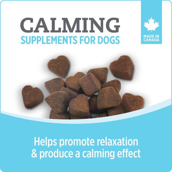 Show full view: Nutrience Care Calming Dog Supplement, 100 count slide 4 of 7