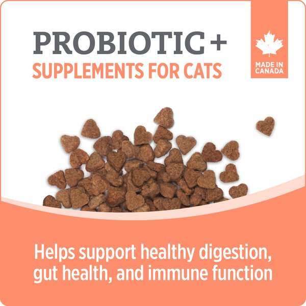 Show full view: Nutrience Care Probiotic+ Cat Supplement, 180-g slide 4 of 7
