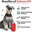 Show in main carousel: Vital Pet Life Salmon Oil Skin & Coat Health Liquid Cat & Dog Supplement, 237-ml bottle slide 2 of 8