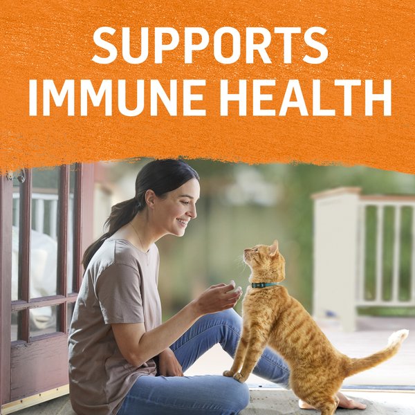 Show full view: Purina Beyond Pate Variety Pack Wild-Caught Salmon, Chicken, Trout & Catfish Wet Cat Food, 85-g can, case of 24 slide 4 of 12