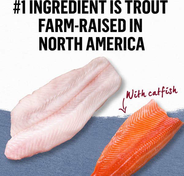 Show full view: Purina Beyond Pate Grain-Free Trout & Catfish Recipe Wet Cat Food, 85-g can, case of 12 slide 8 of 17