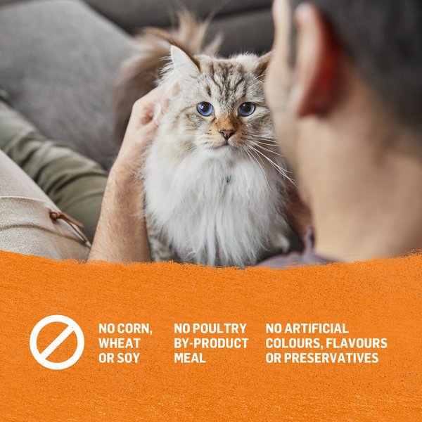 Show full view: Purina Beyond Pate Variety Pack Wild-Caught Salmon, Chicken, Trout & Catfish Wet Cat Food, 85-g can, case of 24 slide 8 of 12