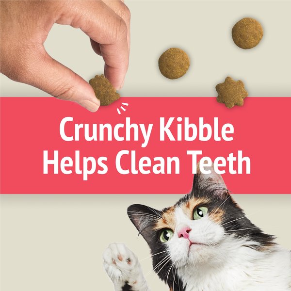 Show full view: Friskies Party Mix Naturals Seaside Crunch with Real Fish Cat Treats, 454-g pouch slide 12 of 16