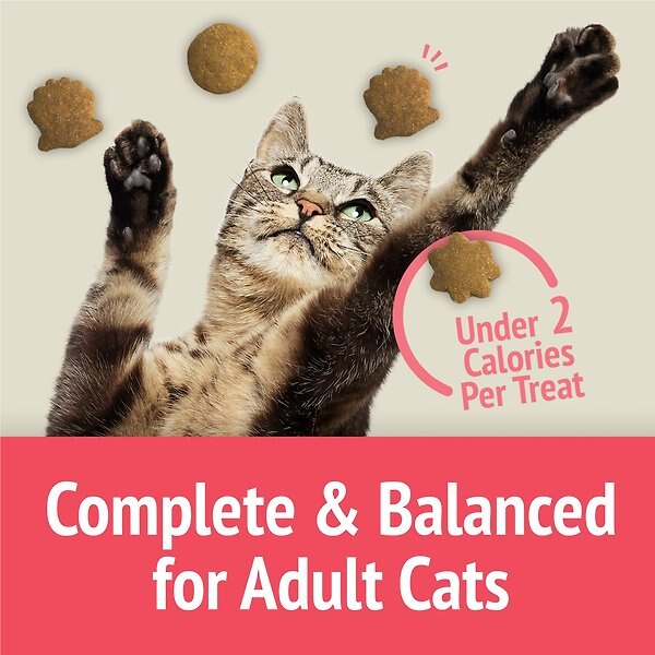Show full view: Friskies Party Mix Naturals Seaside Crunch with Real Fish Cat Treats, 454-g pouch slide 10 of 16