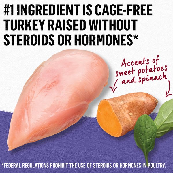 Show full view: Purina Beyond Cage-Free Turkey, Sweet Potato & Spinach Recipe in Gravy Wet Cat Food, 85-g can, case of 12 slide 8 of 18