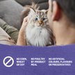 Show in main carousel: Purina Beyond Cage-Free Turkey, Sweet Potato & Spinach Recipe in Gravy Wet Cat Food, 85-g can, case of 12 slide 10 of 18