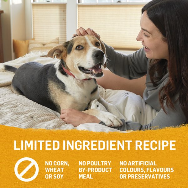 Show full view: Purina Beyond Chicken, Carrot & Pea Recipe Ground Entree Wet Dog Food, 368-g can, case of 12 slide 10 of 18