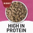 Show in main carousel: Purina Beyond Farm-Raised Beef & Spinach Recipe in Gravy Wet Dog Food, 354-g can, case of 12 slide 11 of 13