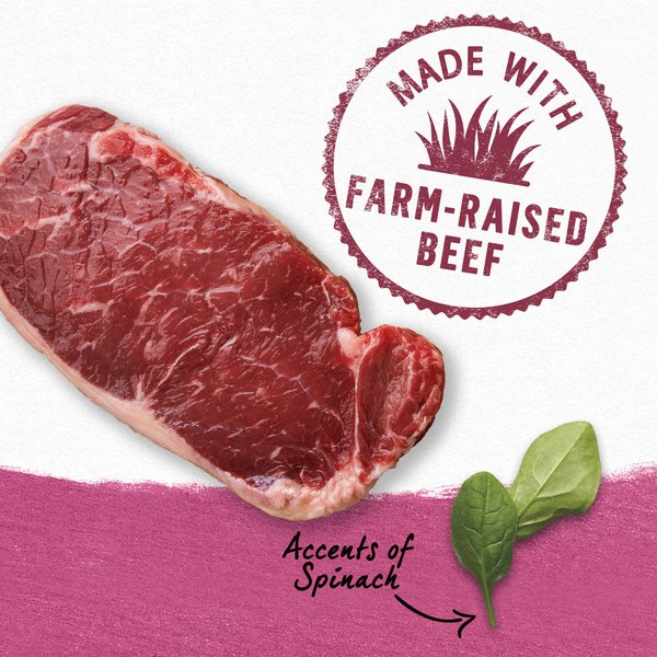 Show full view: Purina Beyond Farm-Raised Beef & Spinach Recipe in Gravy Wet Dog Food, 354-g can, case of 12 slide 8 of 13