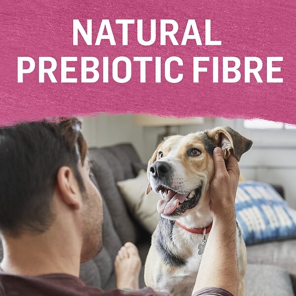 Show full view: Purina Beyond Farm-Raised Beef & Spinach Recipe in Gravy Wet Dog Food, 354-g can, case of 12 slide 6 of 13