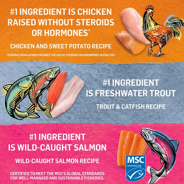 Show full view: Purina Beyond Grain-Free Pate Variety Pack Trout & Catfish, Chicken & Sweet Potato, & Wild-Caught Salmon Wet Cat Food, 85-g can, case of 12 slide 7 of 11