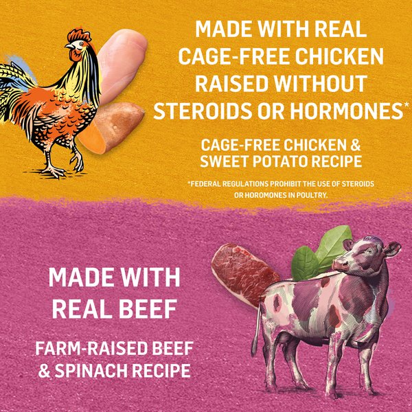 Show full view: Purina Beyond in Gravy Variety Pack Grain-Free Beef Wet Dog Food, 354-g can, case of 6 slide 8 of 13