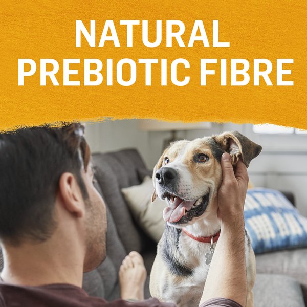 Show full view: Purina Beyond in Gravy Variety Pack Grain-Free Beef Wet Dog Food, 354-g can, case of 6 slide 6 of 13