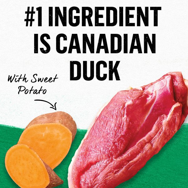 Show full view: Purina Beyond Pate Grain-Free Canadian Duck & Sweet Potato Recipe Wet Cat Food, 85-g can, case of 12 slide 8 of 17