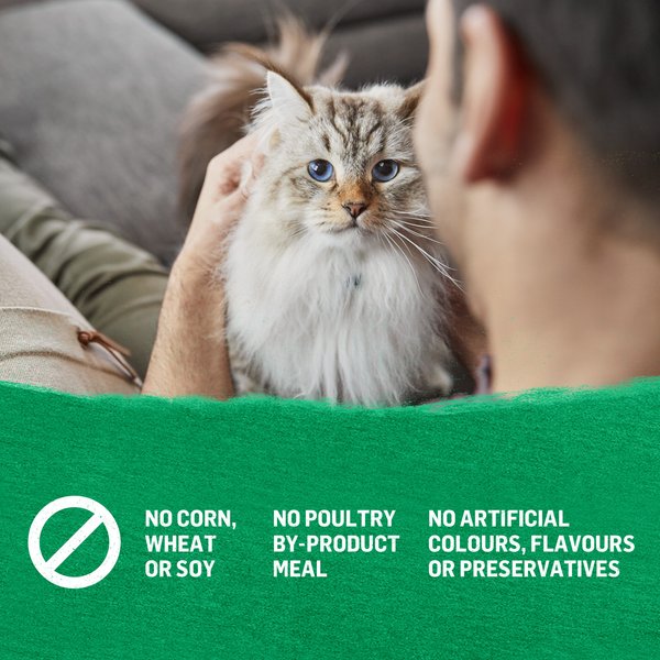 Show full view: Purina Beyond Pate Grain-Free Canadian Duck & Sweet Potato Recipe Wet Cat Food, 85-g can, case of 12 slide 10 of 17